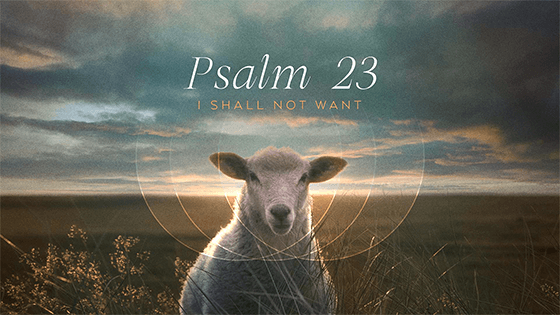 I Shall Not Want