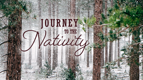 Journey to the Nativity